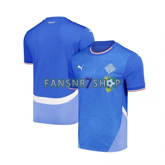 Island fußball trikot Herren Heim 2024 Kurzarm