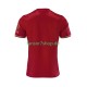 FC Bayern München fußball trikot 125th Anniversary Herren Heim Rot 2024-2025 Kurzarm