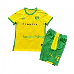 Norwich City fußball trikot Kinder Heim 2024-2025 Kurzarm