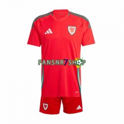 Wales fußball trikot Kinder Heim 2024 Kurzarm Wales fußball trikot Kinder Heim 2024 Kurzarm