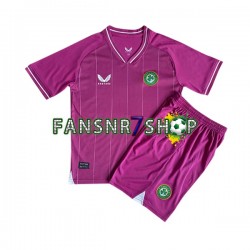 Irland fußball trikot Torhüter Kinder Heim 2023 Kurzarm