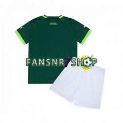 Palmeiras fußball trikot Kinder Heim 2023-2024 Kurzarm