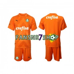 Palmeiras fußball trikot Torhüter Kinder Ausweich 2022-2023 Kurzarm