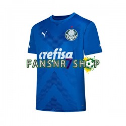 Palmeiras fußball trikot Torhüter Herren Heim 2023-2024 Kurzarm