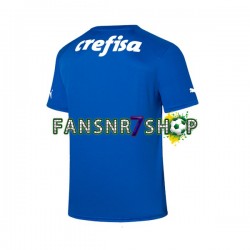 Palmeiras fußball trikot Torhüter Herren Heim 2023-2024 Kurzarm