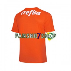 Palmeiras fußball trikot Torhüter Herren Ausweich 2022-2023 Kurzarm