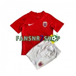 Norwegen fußball trikot HAALAND 9 Kinder Heim 2022 Kurzarm