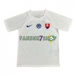 Slowakei fußball trikot Euro 2024 Herren Auswärts Kurzarm