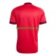 Norwegen fußball trikot WM 2026 Martin Odegaard 10 Herren Ausweich Kurzarm
