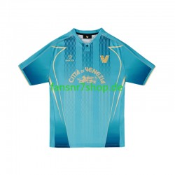FC Venedig fußball trikot Herren Ausweich 2024-2025 Kurzarm