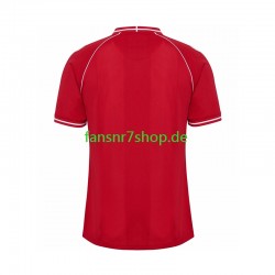 Dänemark fußball trikot Herren Heim 2026 Kurzarm