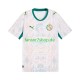 Senegal fußball trikot Herren Heim 2026 2027 Kurzarm