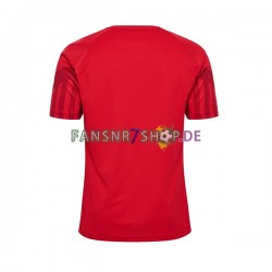 Dänemark fußball trikot WM 2022 Herren Heim Kurzarm