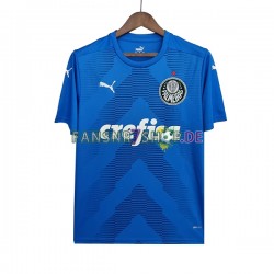 Palmeiras fußball trikot Torhüter Herren Auswärts 2022-2023 Kurzarm