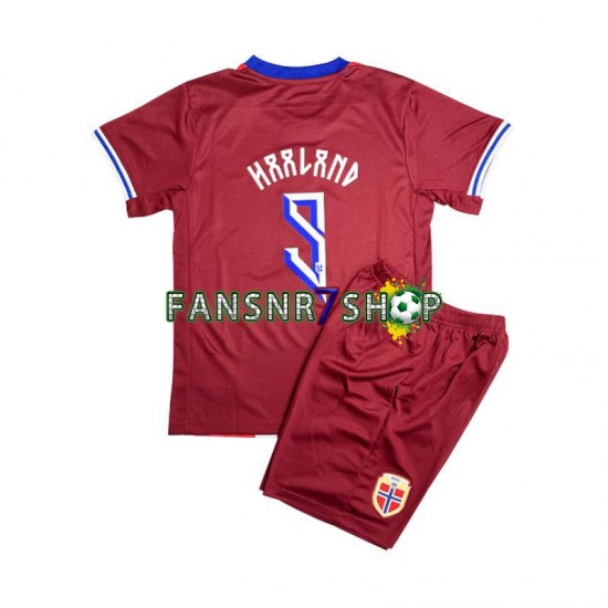 Norwegen fußball trikot Erling Haaland 9 Kinder Heim 2024 Kurzarm
