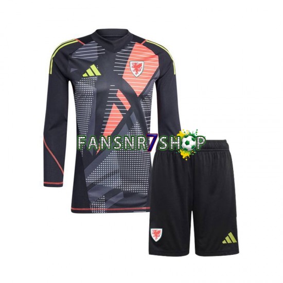 Wales fußball trikot Torhüter Kinder Heim 2024 Langarm