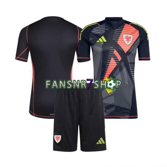 Wales fußball trikot Torhüter Kinder Heim 2024 Kurzarm