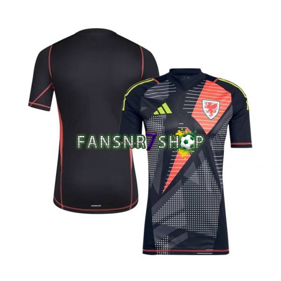 Wales fußball trikot Torhüter Herren Heim 2024 Kurzarm