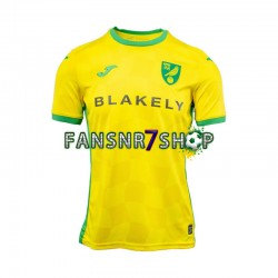 Norwich City fußball trikot Herren Heim 2024-2025 Kurzarm